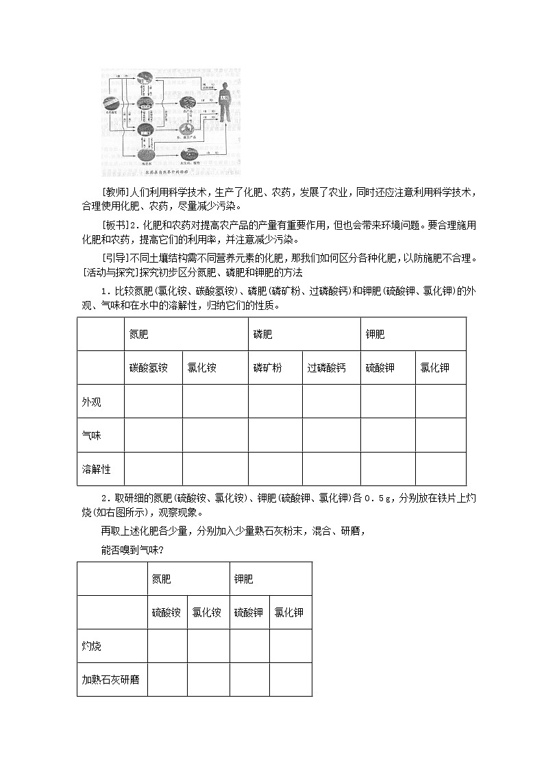 人教版化学九年级全册第11单元课题2 化学肥料 教案03