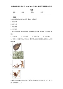 山西省阳泉市平定县2020-2021学年七年级下学期期末历史试题（word版 含答案）