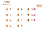 人教版（河北专版）九年级下册历史课件 专题训练 专题三　改革与体制创新
