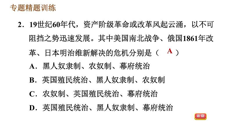 人教版（河北专版）九年级下册历史课件 专题训练 专题三　改革与体制创新07