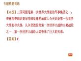 人教版（河北专版）九年级下册历史课件 专题训练 专题一　两次世界大战