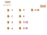 人教版（河北专版）九年级下册历史课件 专题训练 专题四　碰撞发展的世界经济
