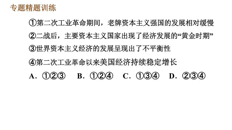 人教版（河北专版）九年级下册历史课件 专题训练 专题四　碰撞发展的世界经济05