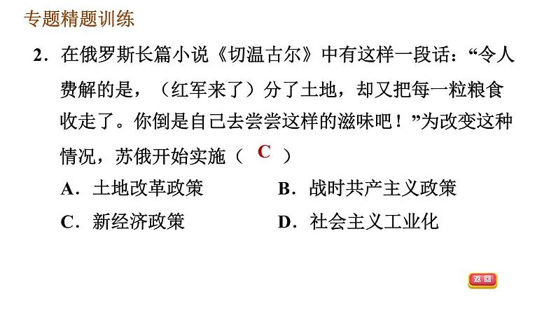 人教版（河北专版）九年级下册历史课件 专题训练 专题四　碰撞发展的世界经济07