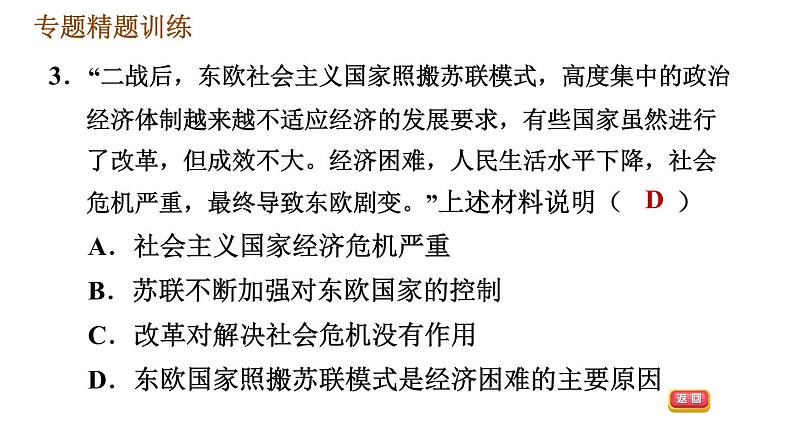 人教版（河北专版）九年级下册历史课件 专题训练 专题四　碰撞发展的世界经济08