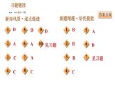 人教版九年级下册历史 第5单元 习题课件