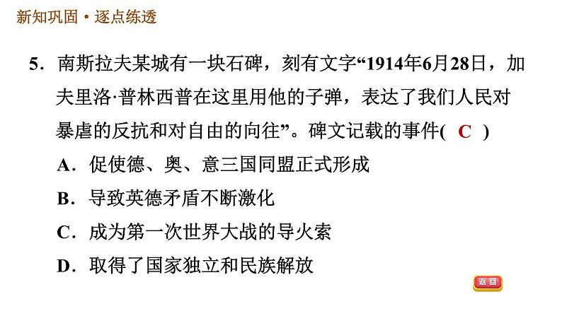 人教版九年级下册历史课件 第3单元 第8课 第一次世界大战07