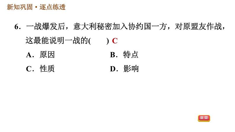 人教版九年级下册历史课件 第3单元 第8课 第一次世界大战08