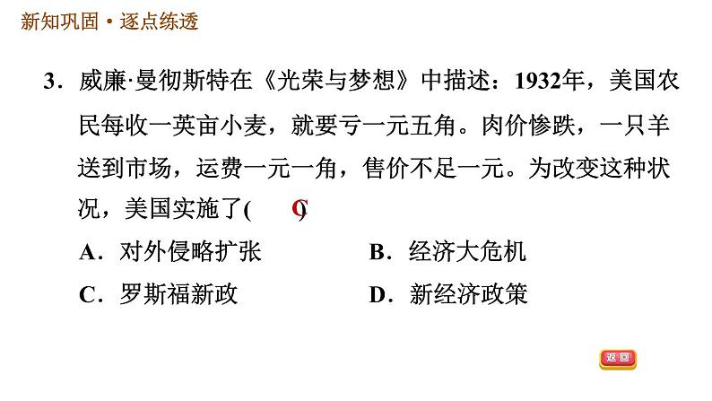 人教版九年级下册历史课件 第4单元 第13课 罗斯福新政第5页
