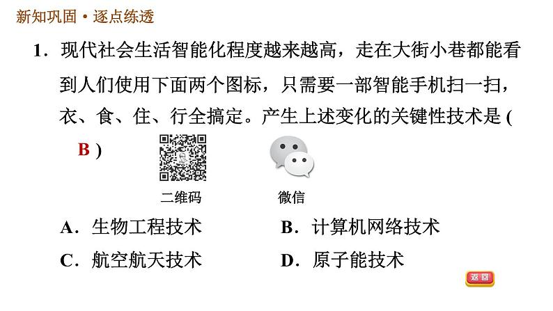 人教版九年级下册历史 第6单元 习题课件03