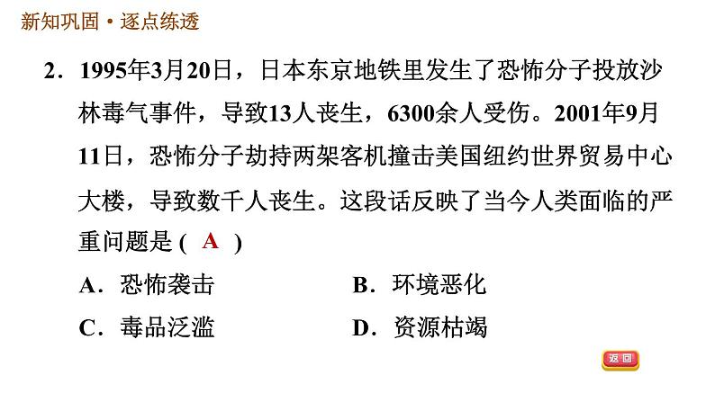 人教版九年级下册历史 第6单元 习题课件04