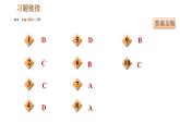 人教版九年级下册历史 专题训练 习题课件