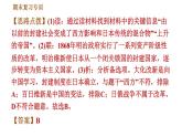 人教版九年级下册历史 专题训练 习题课件