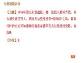 人教版九年级下册历史课件 专题训练 专题一　两次世界大战