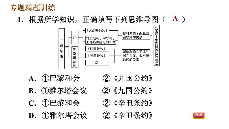 人教版（河北专版）九年级下册历史课件 专题训练 专题二　世界政治格局的演变第6页