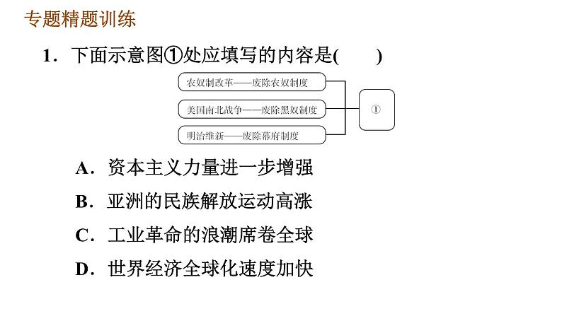 人教版九年级下册历史课件 专题训练 专题三　改革与体制创新第6页