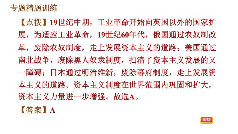 人教版九年级下册历史课件 专题训练 专题三　改革与体制创新第7页