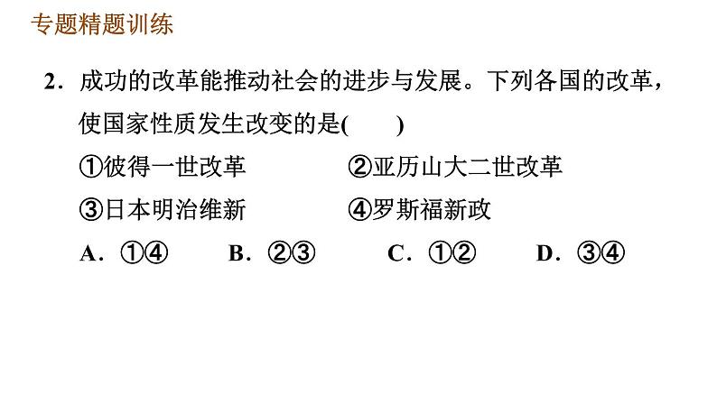 人教版九年级下册历史课件 专题训练 专题三　改革与体制创新第8页