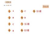 人教版（河北专版）九年级下册历史课件 专题训练 专题二　世界政治格局的演变