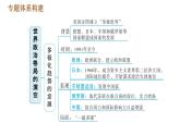 人教版九年级下册历史课件 专题训练 专题二　世界政治格局的演变