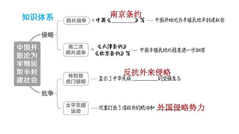 人教版八年级上册历史课件 第一单元 复习训练第3页