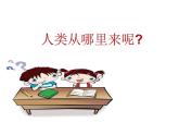 部编版七年级历史上册 第1课 中国境内早期人类的代表——北京人课件（41张PPT）