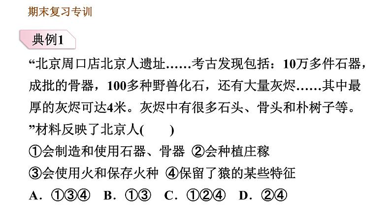 人教版七年级上册历史习题课件 期末复习提升 专项一　选择题题型专项第7页