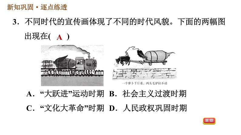 人教版八年级下册历史 第2单元 习题课件05