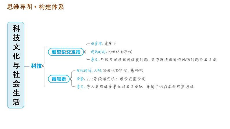 人教版八年级下册历史习题课件 第六单元 巩固强化复习.ppt第3页