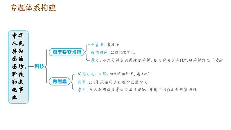 人教版八年级下册历史习题课件 期末提升 专题训练 专题四　中华人民共和国的国防、科技和文化事业05