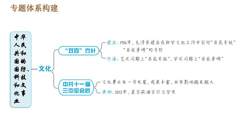 人教版八年级下册历史习题课件 期末提升 专题训练 专题四　中华人民共和国的国防、科技和文化事业06