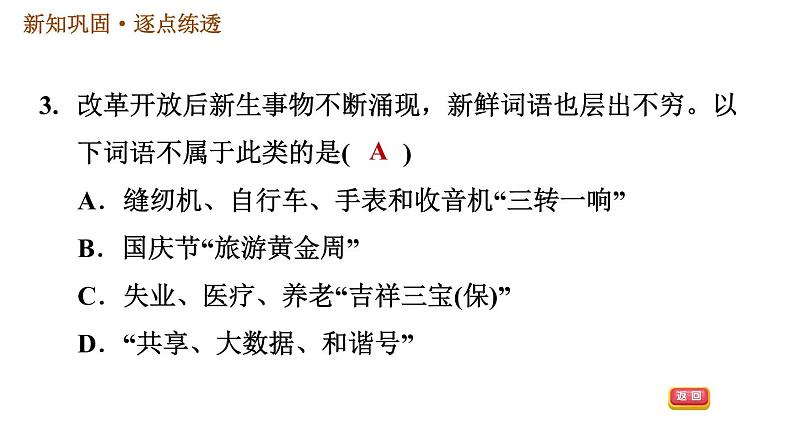 人教版八年级下册历史习题课件 第6单元 第19课　社会生活的变迁第5页