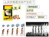 人教部编版七年级历史上册课件  1 中国境内早期人类的代表— 北京人