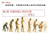 人教部编版七年级历史上册课件  1 中国境内早期人类的代表— 北京人
