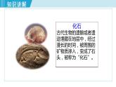 人教版七年级历史上册 第一单元 第1课 中国境内早期人类的代表——北京人 课件