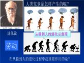 第1课 中国境内早期人类的代表——北京人 课件-部编版历史七年级上册(共21张PPT)