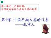 部编版历史七年级上册第1课中国境内早期人类的代表——北京人  课件