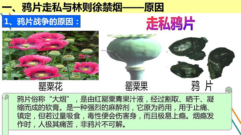 部编版历史八年级上册1.1鸦片战争课件PPT第7页