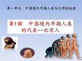 人教版七年级历史上册 第1课  中国境内早期人类的代表——北京人  课件