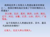 人教版七年级历史上册 第1课  中国境内早期人类的代表——北京人  课件