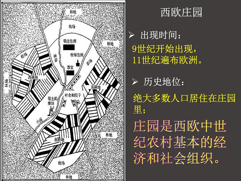 部编版九年级历史上册：3.2 西欧庄园-课件07