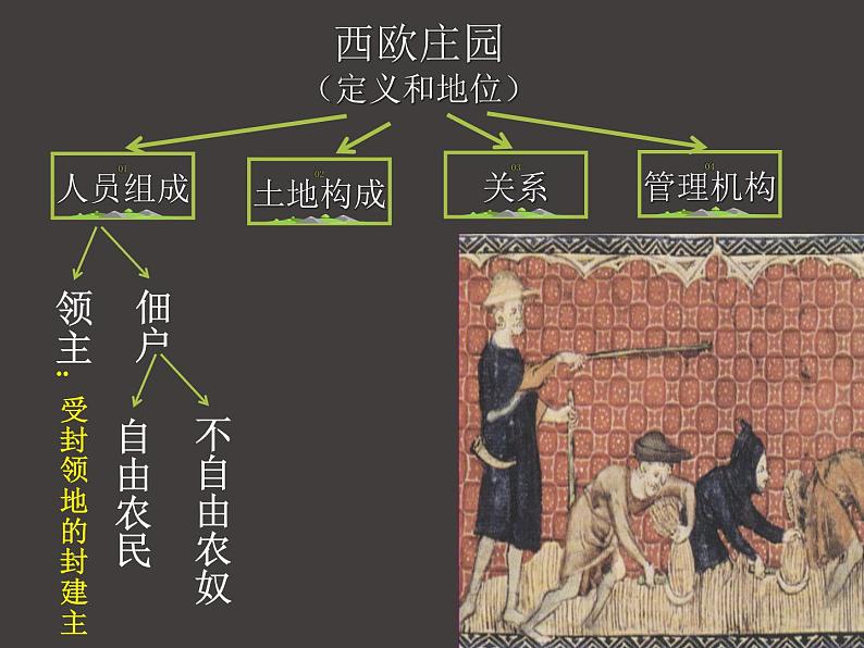 部编版九年级历史上册：3.2 西欧庄园-课件08