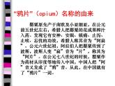 八年级历史上_第一课_鸦片战争ppt课件人教版