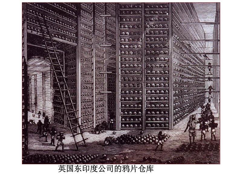 人教部编版 八年级上册第一单元第1课鸦片战争ppt课件04