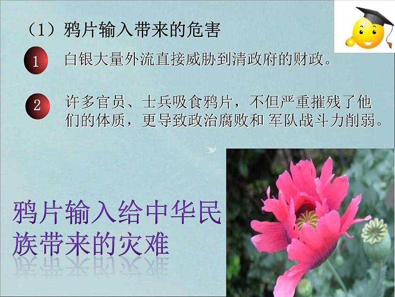 人教版八年级上册历史课件第一单元第1课  鸦片战争ppt课件 （共23张PPT）08