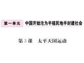 最新八年级历史人教版上册习题讲评课件第3课 太平天国运动ppt课件  （共18张PPT）