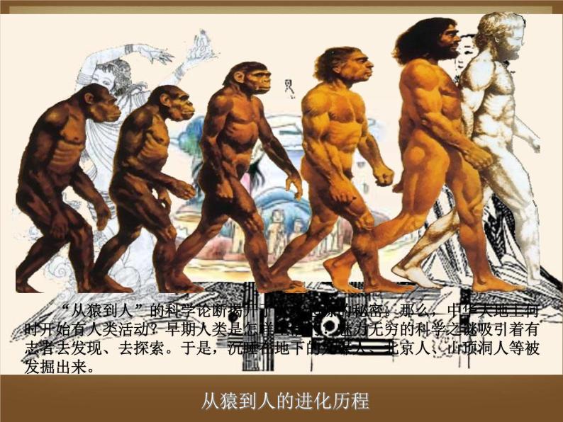 第1课-中国早期人类的代表—北京人ppt课件03