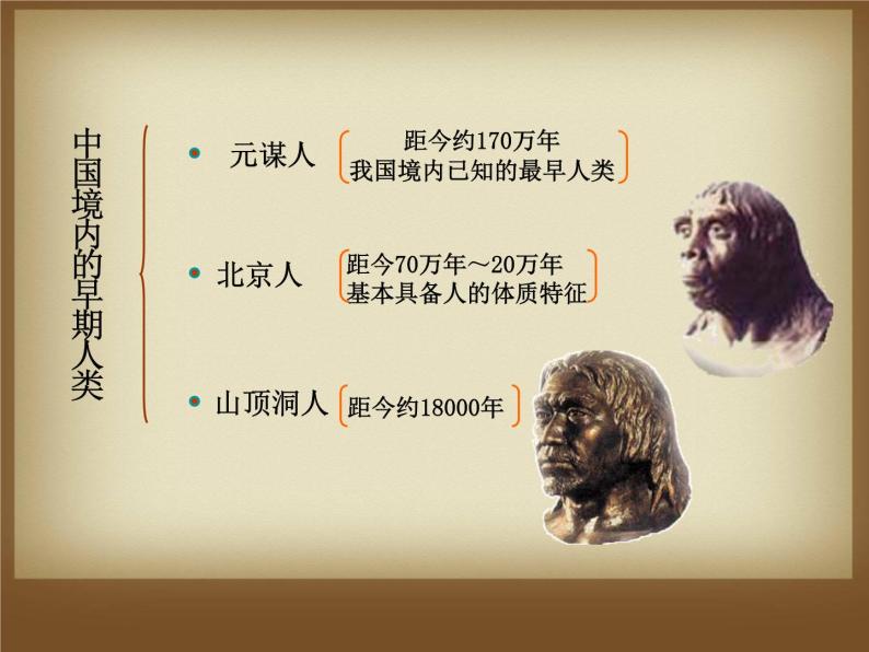 第1课-中国早期人类的代表—北京人ppt课件04