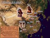 人教部编七年级历史上册中国早期人类的代表—北京人ppt课件