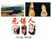 人教部编七年级历史上册中国早期人类的代表—北京人ppt课件